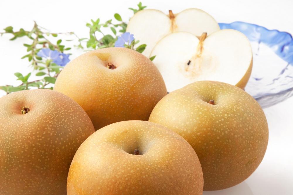 【2026年発送／先行予約】梨「あきづき」約5kg（8～10玉入）【松崎果樹園】