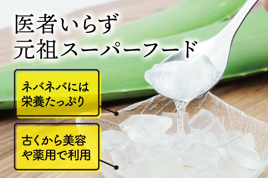 【食用】朝採り アロエベラ生葉 4kg（4枚～8枚）3年物　宮城県産