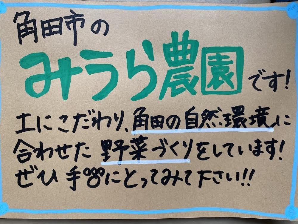 【2026年発送分先行予約】みうら農園 季節の野菜セット おまかせ7品（晩秋野菜）【2026年10月下旬頃～順次】