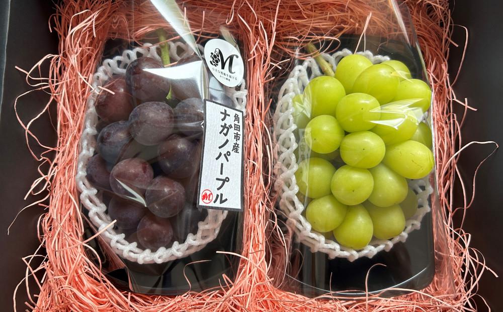 【2026年発送分先行予約】シャインマスカット／ナガノパープル セット（各1房・計2房 約1kg）【2026年9月上旬以降順次】｜シャインマスカット ナガノパープル ぶどう 葡萄 宮城県角田市 フルーツ 果物 セット