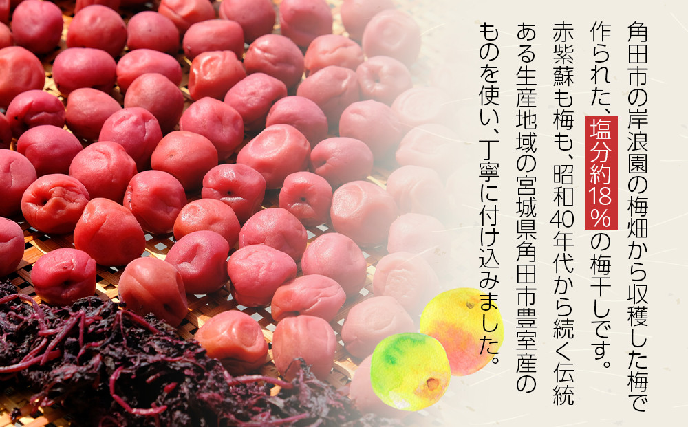 【2026年1月下旬より発送】梅干し 300ｇ 12パック入り 300個限定