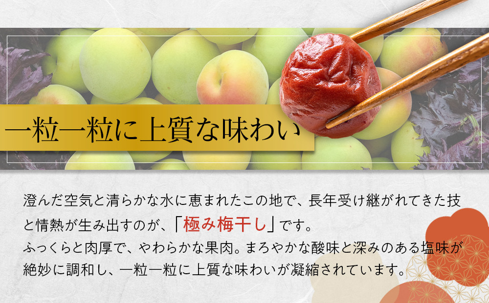 【2026年1月下旬より発送】極み梅干し 塩分約18％ 100ｇ 4パック入り 限定100個