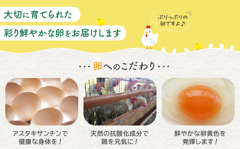 卵 生卵 おおえだファーム アスタキサンチン卵（白卵）Lサイズ 30個入り｜アスタキサンチン卵 30個 美肌 抗酸化 宮城県角田市育ち 生卵 たまご 玉子 たまごかけ TKG