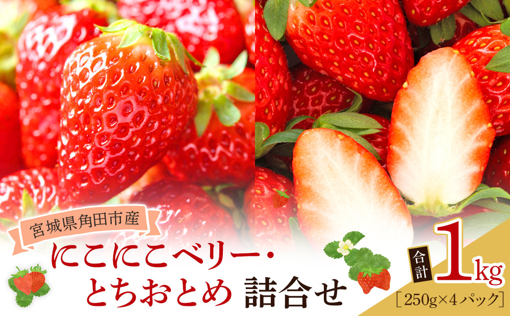 【先行予約】【JAみやぎ仙南】宮城県角田市産いちご　にこにこベリー・とちおとめ詰合せ　合計約1kg（250g×4パック）【2026年1月初旬より順次配送】