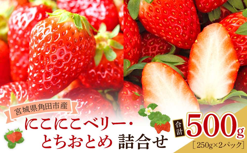 【先行予約】【JAみやぎ仙南】宮城県角田市産いちご　にこにこベリー・とちおとめ詰合せ　合計約500g（250g×2パック）【2026年1月初旬より順次配送】