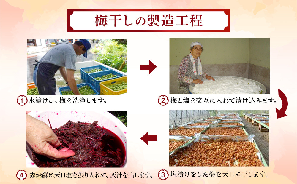 梅干しマイスター 佐藤きい子さんのご家庭用手作り梅干し 約1.2kg | 梅干し 約1.2kg ( 白加賀、越の梅、小梅3種合計 ) 手作り 梅干 うめぼし うめ干し 塩分 すっぱい 熱中症対策 お試し お取り寄せ 国産 人気 おすすめ 宮城 家庭用