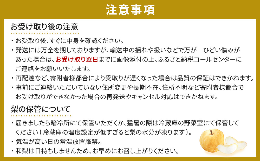 【2026年発送／先行予約】梨「豊水」約4kg（6～8玉入）【松崎果樹園】