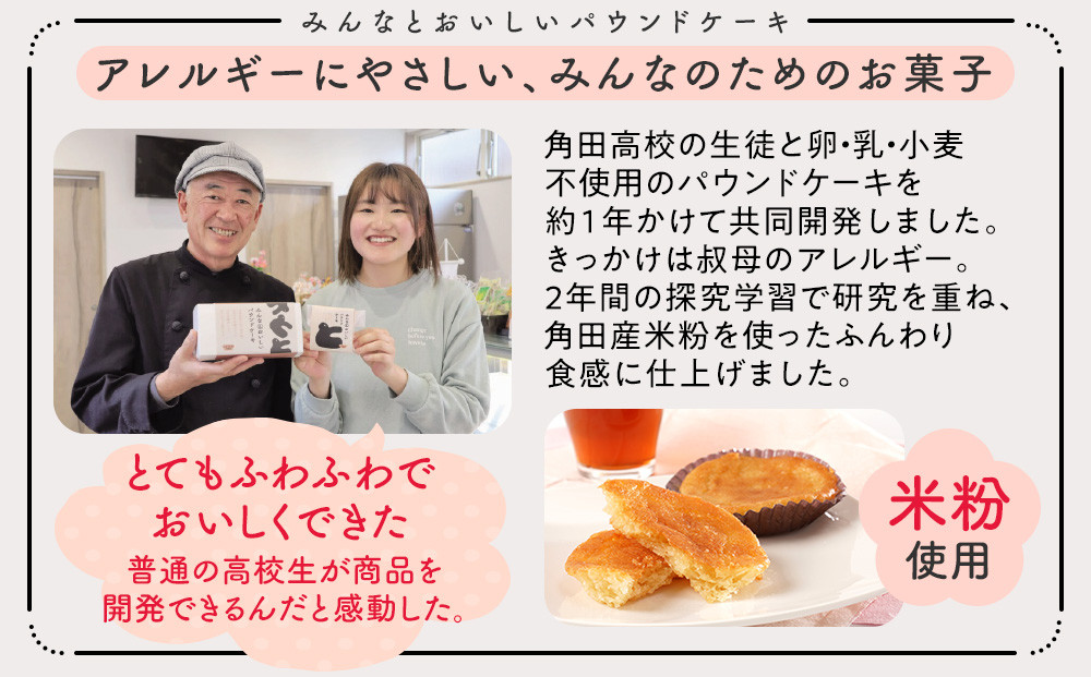 みんなとおいしいパウンドケーキ 6個入り×1　グルテンフリー 小麦粉不使用 焼き菓子 パウンドケーキ