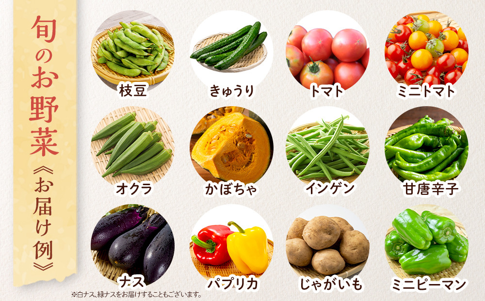 【2026年発送分先行予約】みうら農園 季節の野菜セット（夏野菜）【2026年6月中旬以降順次】
