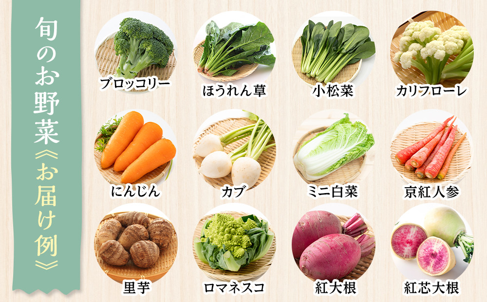 【2026年発送分先行予約】みうら農園 季節の野菜セット おまかせ7品（晩秋野菜）【2026年10月下旬頃～順次】