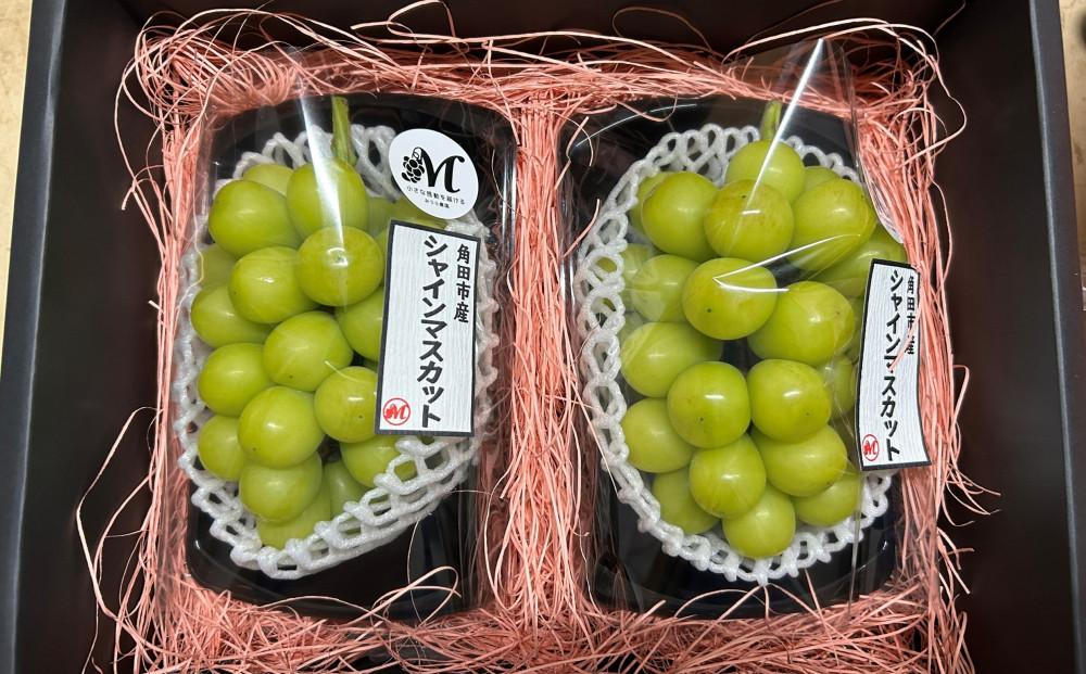 【2026年発送分先行予約】シャインマスカット ２房（約１kg）【2026年9月上旬以降順次】