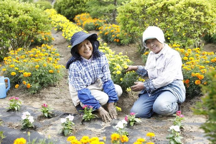 空き家管理作業B（見回り・報告・簡易作業）約2時間