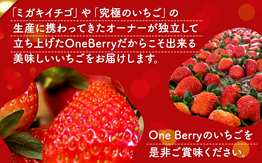 OneBerry いちご農園 品種おまかせ 旬のいちご 250ｇ× 4パック【2026年1月5日以降順次発送】 ｜ いちご イチゴ 苺 宮城県 限定 産地直送 産直 農家直送