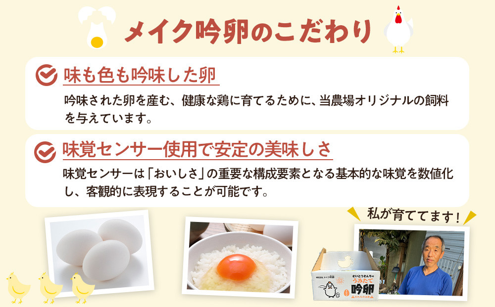 【6回定期便】さいとうさんちのうみたて吟卵　60個入り