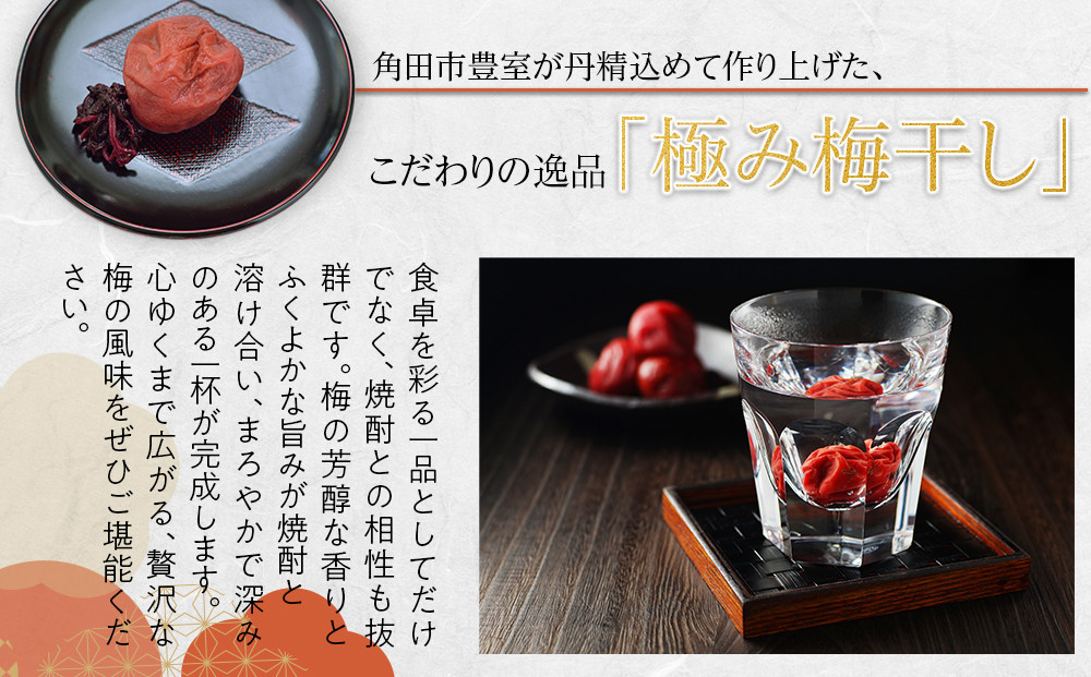 【2026年1月下旬より発送】極み梅干し 塩分約18％ 100ｇ 4パック入り 限定100個
