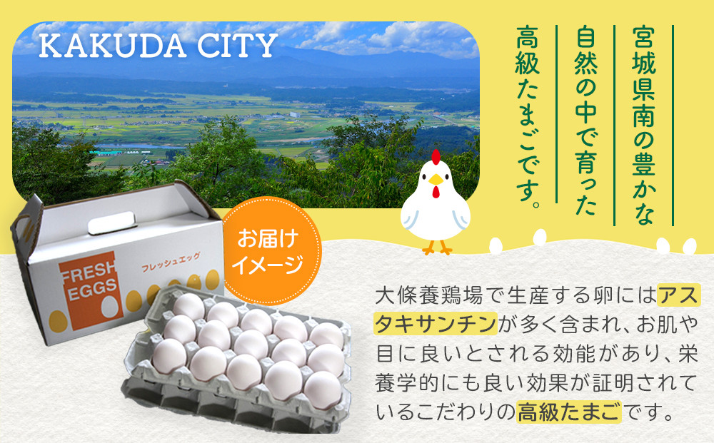 おおえだファーム アスタキサンチン卵（白卵）Lサイズ 60個入り