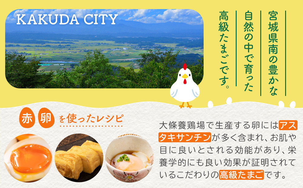 おおえだファーム アスタキサンチン卵（赤卵）Lサイズ 30個入り