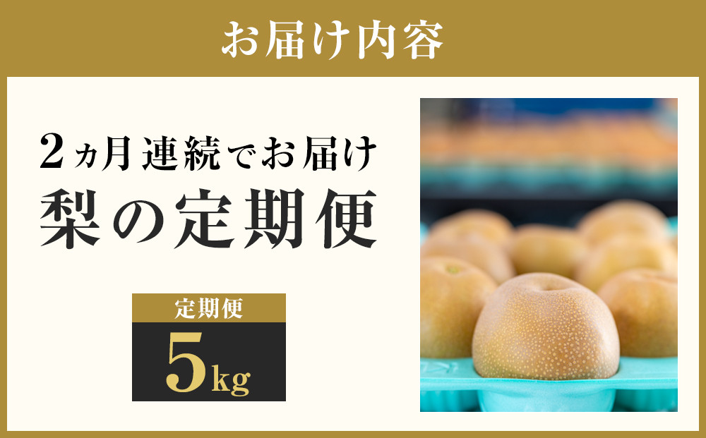 【2026年発送分 先行予約】【梨の定期便／全2回発送】和梨2カ月連続お届け 5kg（品種おまかせ）
