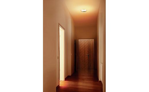 小型シーリングライト 導光板 750lm 電球色 SCL-75L-LGP アイリスオーヤマ