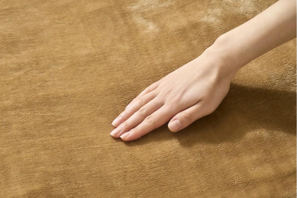 電気毛布 敷き 80×14cm EHB-FK1480B-LT ライトブラウン アイリスオーヤマ｜室温センサー リビング 抗菌 節電 省エネ 洗える 防寒 ダニ対策