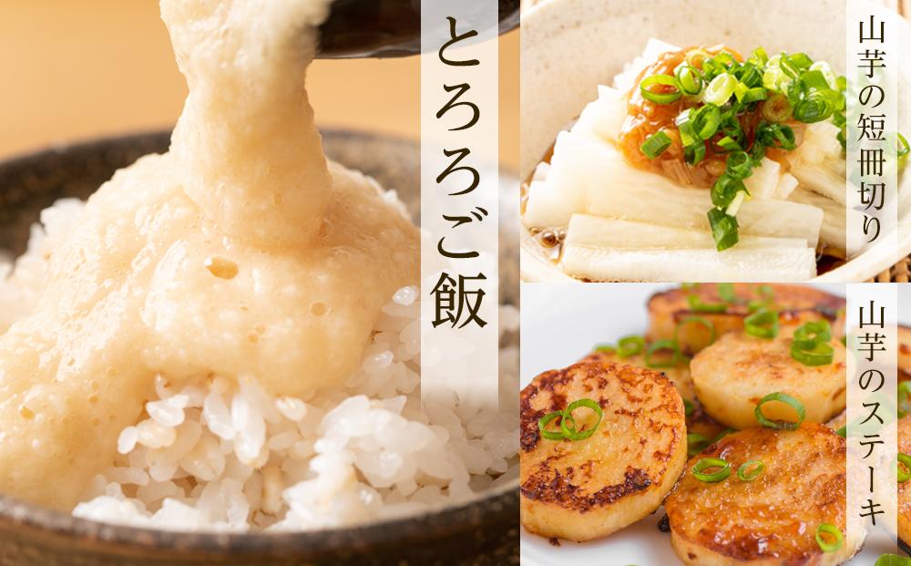 【先行予約】宮城県角田市産ながいも約４kg（３～５本）【2025年11月下旬～順次発送】