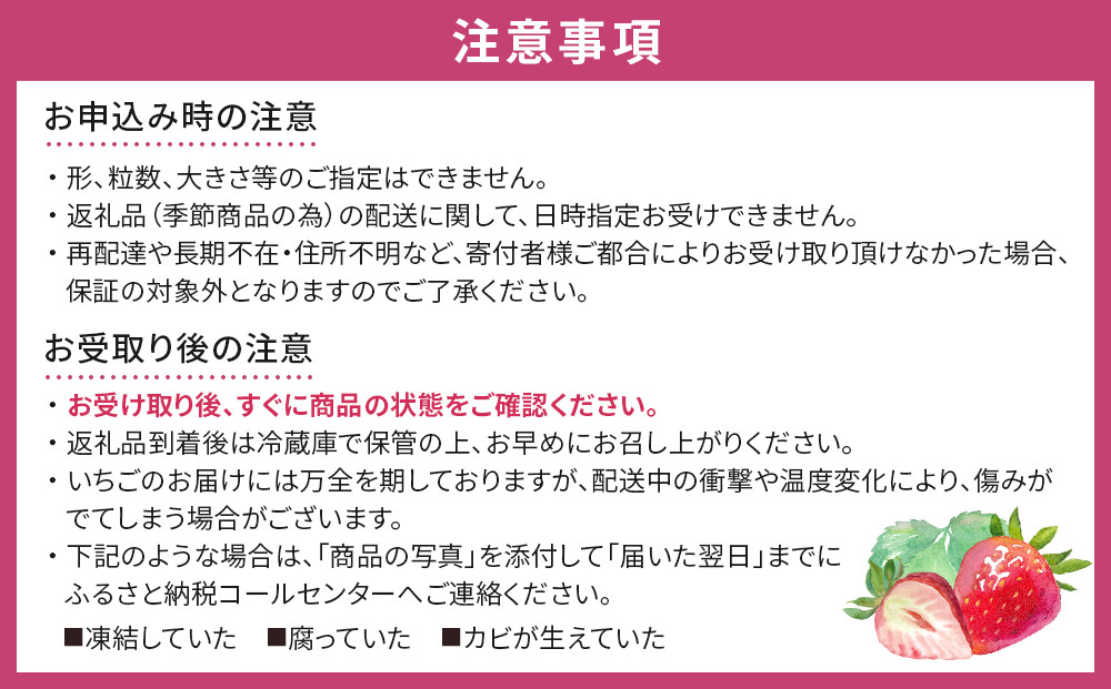 【先行予約】【JAみやぎ仙南】宮城県角田市産いちご　にこにこベリー・とちおとめ詰合せ　合計約500g（250g×2パック）【2026年1月初旬より順次配送】