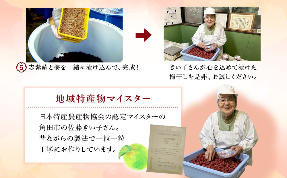 梅干しマイスター 佐藤きい子さんのご家庭用手作り梅干し 約1.2kg | 梅干し 約1.2kg ( 白加賀、越の梅、小梅3種合計 ) 手作り 梅干 うめぼし うめ干し 塩分 すっぱい 熱中症対策 お試し お取り寄せ 国産 人気 おすすめ 宮城 家庭用