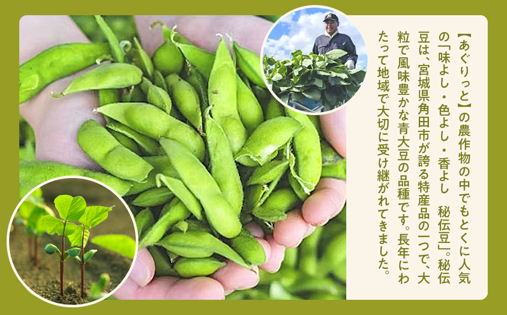 【角田市産秘伝豆使用】高蔵寺大福（ずんだ）5個セット【あぐりっと】