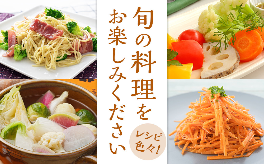 【2026年発送分先行予約】みうら農園 季節の野菜セット おまかせ7品（晩秋野菜）【2026年10月下旬頃～順次】