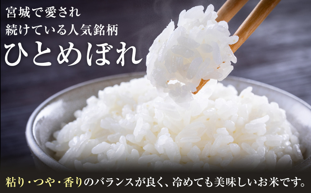 【9回定期便】宮城県産ひとめぼれ【無洗米】　5kg×1袋