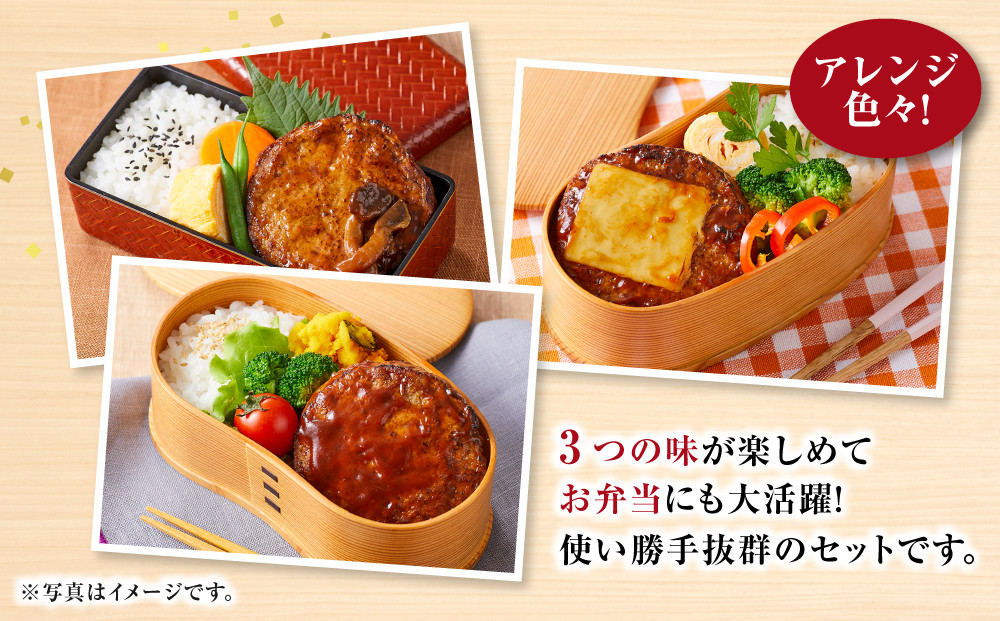 【タキザワハム】お肉屋さんのハンバーグ3種 計20個入（デミグラスソース、チーズ、てりやききのこ）