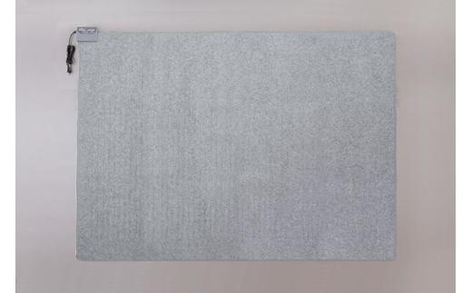 ホットカーペット 3畳 195×234cm HCM-T2420-H グレー アイリスオーヤマ｜ダニ対策 自動OFF 室温センサー 自動切タイマー 温度調整可能