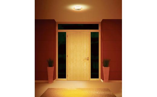 小型シーリングライト 導光板 750lm 電球色 SCL-75L-LGP アイリスオーヤマ