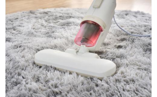 掃除機 布団クリーナー ふとんクリーナーハイパワー CA-22H-C アイボリー 布団 掃除 そうじ 吸引 快眠 強力 ダニ対策 サイクロン式 軽量 お手入れ簡単 ハンディ アイリスオーヤマ　 水洗い 花粉症対策 家電　クリーナー