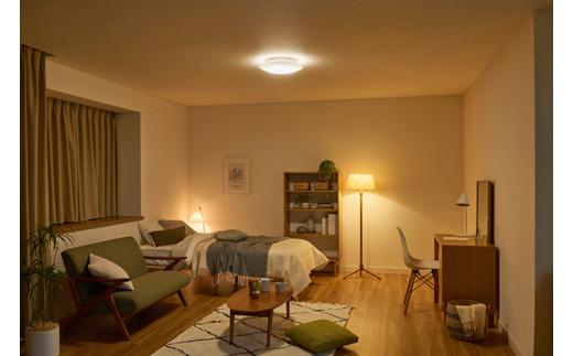 LED シーリングライト Series Q 調光 6畳 プレーン  6畳 調光 節電 工具・工事不要 リモコン付き アイリスオーヤマ 家電 電化製品 節電モード CEA6D-5.0Q