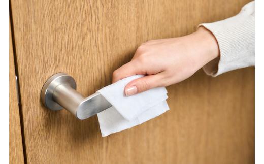 【60枚入×16個】除菌ができるウェットティッシュ アルコールタイプ  アイリスオーヤマ 除菌 計960枚