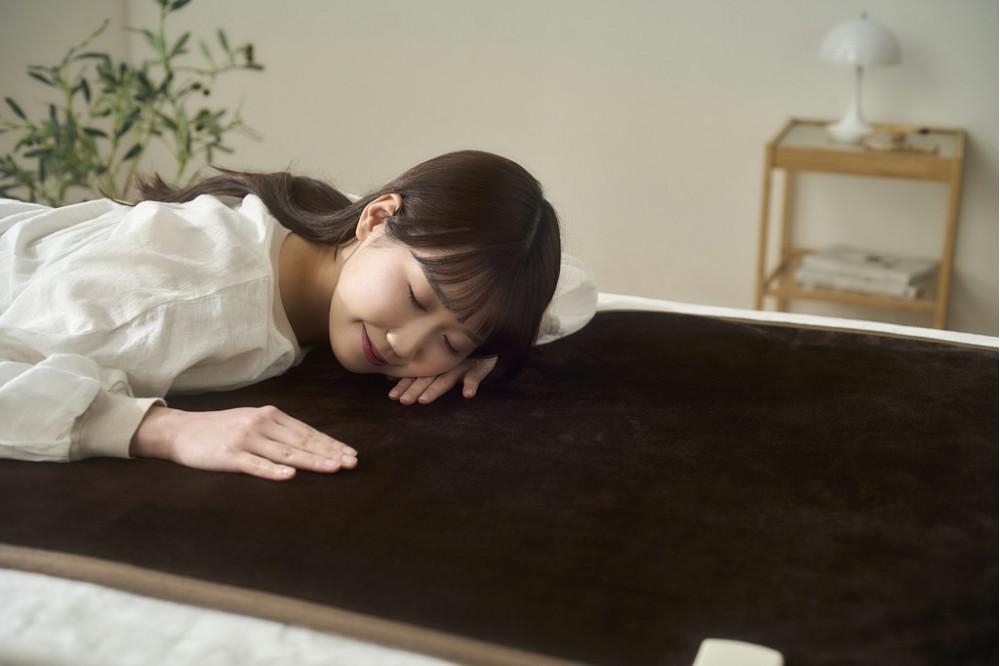 電気毛布 敷き 80×14cm EHB-FK1480B-DT ダークブラウン アイリスオーヤマ｜室温センサー リビング 抗菌 節電 省エネ 洗える 防寒 ダニ対策