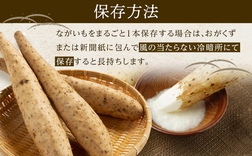 【先行予約】宮城県角田市産ながいも約４kg（３～５本）【2025年11月下旬～順次発送】