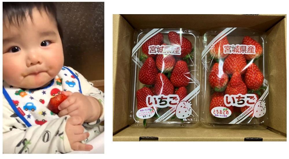 【先行予約】【JAみやぎ仙南】宮城県角田市産いちご　にこにこベリー・とちおとめ詰合せ　合計約1kg（250g×4パック）【2026年1月初旬より順次配送】