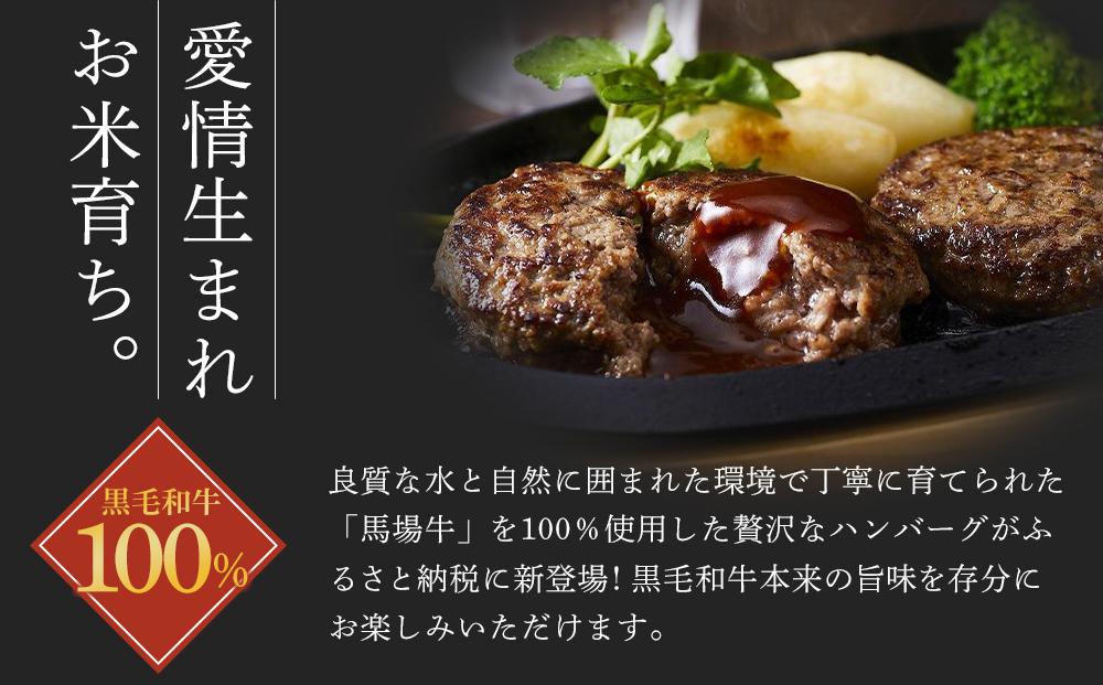 【馬場牛】ハンバーグ 宮城県産黒毛和牛100％ プレミアムハンバーグ 16個セット 牛肉100%｜お肉 肉 国産牛 牛肉 ハンバーグ 温めるだけ レンジ 宮城県角田市育ち