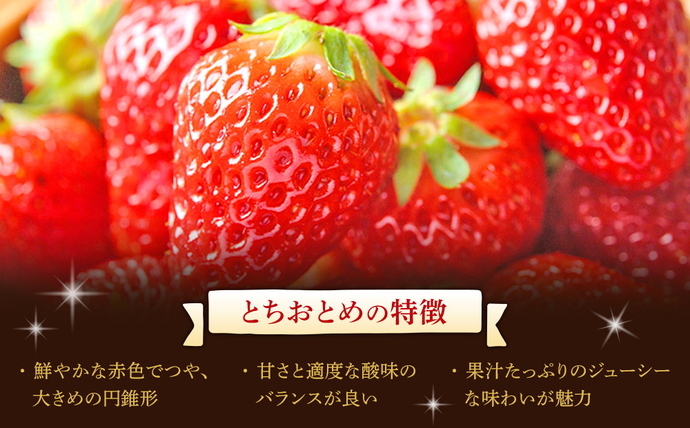 【先行予約】【角田市産地直送】朝摘みいちご「とちおとめ」合計約1kg（250g×4パック）【2025年12月下旬より順次発送】