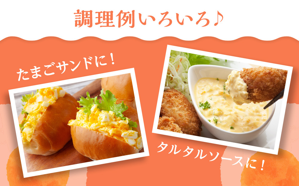 おおえだファーム アスタキサンチン卵黄使用 高級マヨネーズ ・本格たまごかけだししょうゆ セット