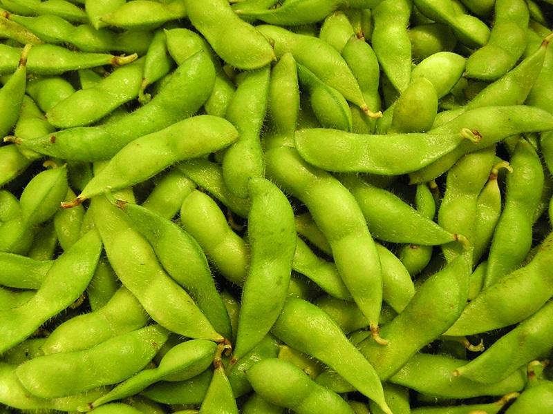 秘伝豆 ずんだ餅　3個入り×4パック【ささもり 菓子 おかし ずんだ 食品 和菓子 贈り物 宮城県 名物 銘菓 枝豆 もち 枝豆 ふるさとの味 人気 おすすめ 送料無料】