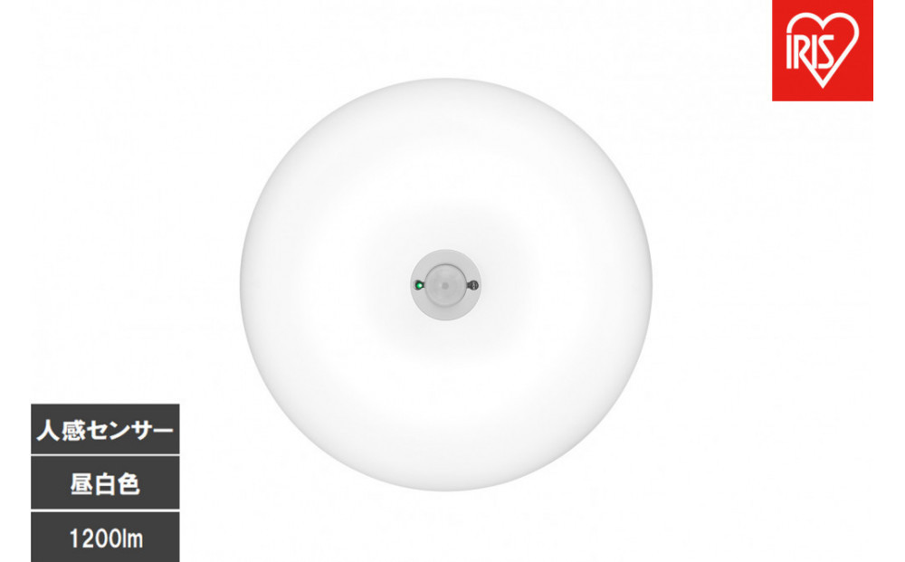 LED小型シーリングライト 人感センサー付 　昼白色 SCL12N-MS-U2