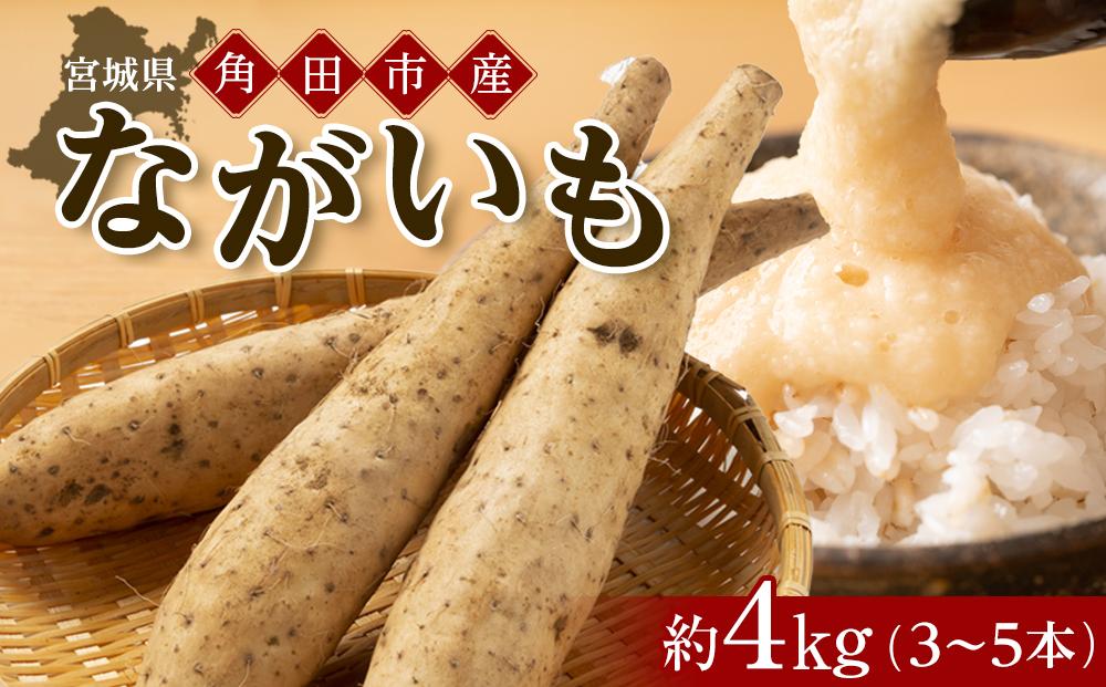 【先行予約】宮城県角田市産ながいも約４kg（３～５本）【2025年11月下旬～順次発送】