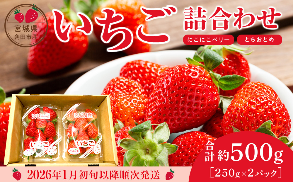 【先行予約】【JAみやぎ仙南】宮城県角田市産いちご　にこにこベリー・とちおとめ詰合せ　合計約500g（250g×2パック）【2026年1月初旬より順次配送】