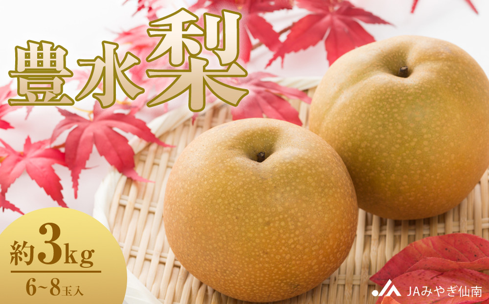 【JAみやぎ仙南】梨「豊水」約3kg (6～8玉入)｜梨 ナシ こだわりの梨 フルーツ 果物 旬の梨 宮城県角田市 約3kg  