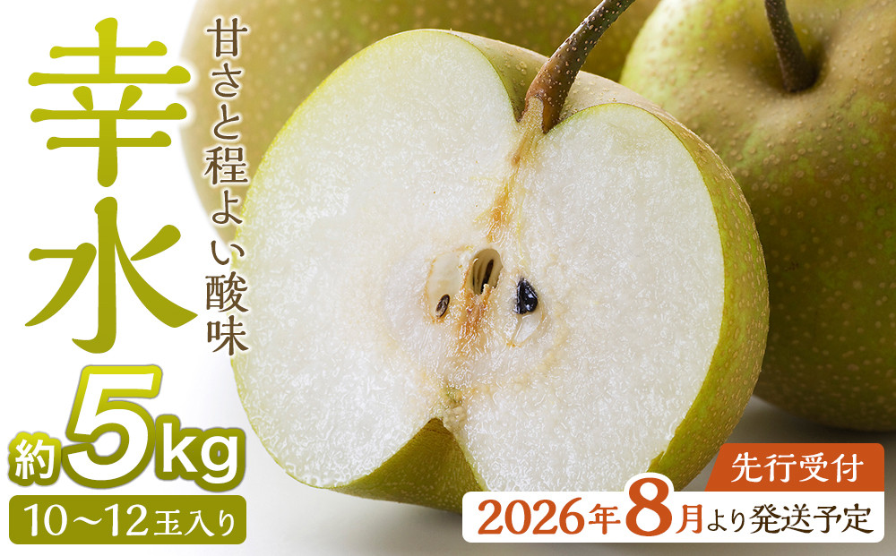 【2026年発送／先行予約】梨「幸水」約5kg（10～12玉入）【松崎果樹園】