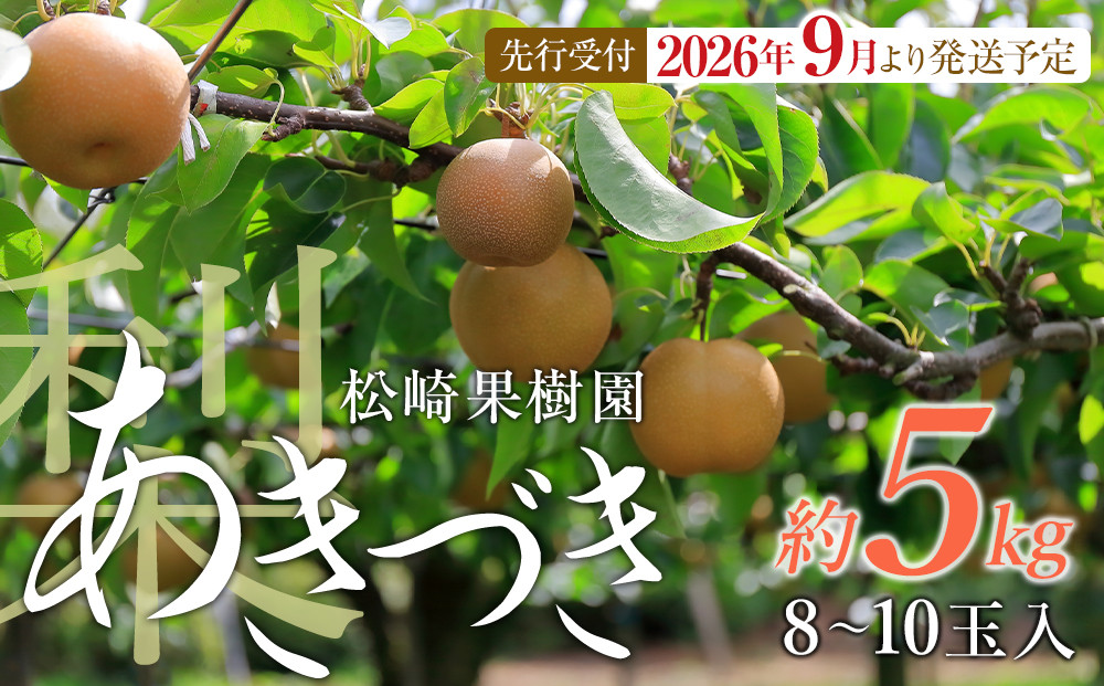 【2026年発送／先行予約】梨「あきづき」約5kg（8～10玉入）【松崎果樹園】