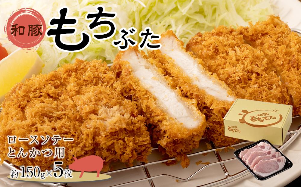 豚肉 『もちぶた』ロース ソテー・とんかつ用  750g ( 約150g × 5枚 )